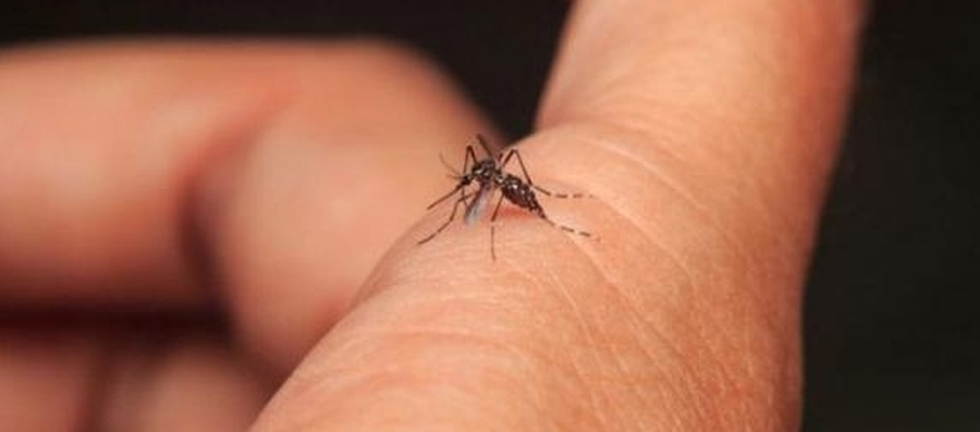 Dengue, hantavirus y leptospirosis