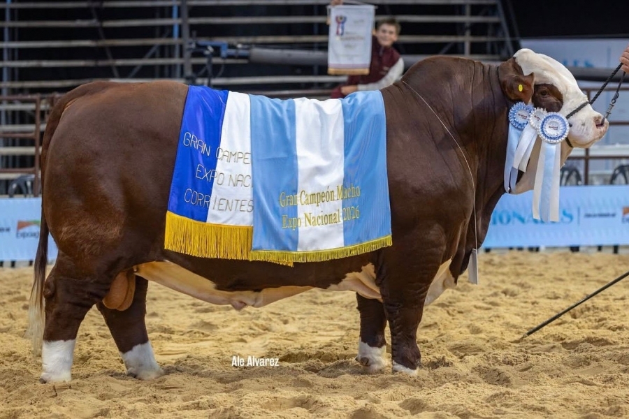 Felipe Martínez Ferrario: 