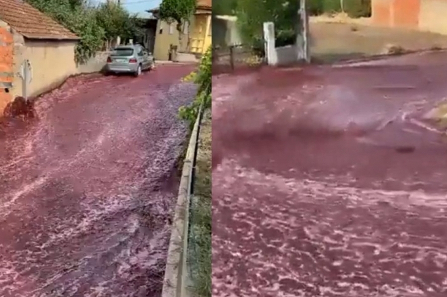 Río tinto: dos millones de litros de vino inundaron las calles de un pueblo en Portugal