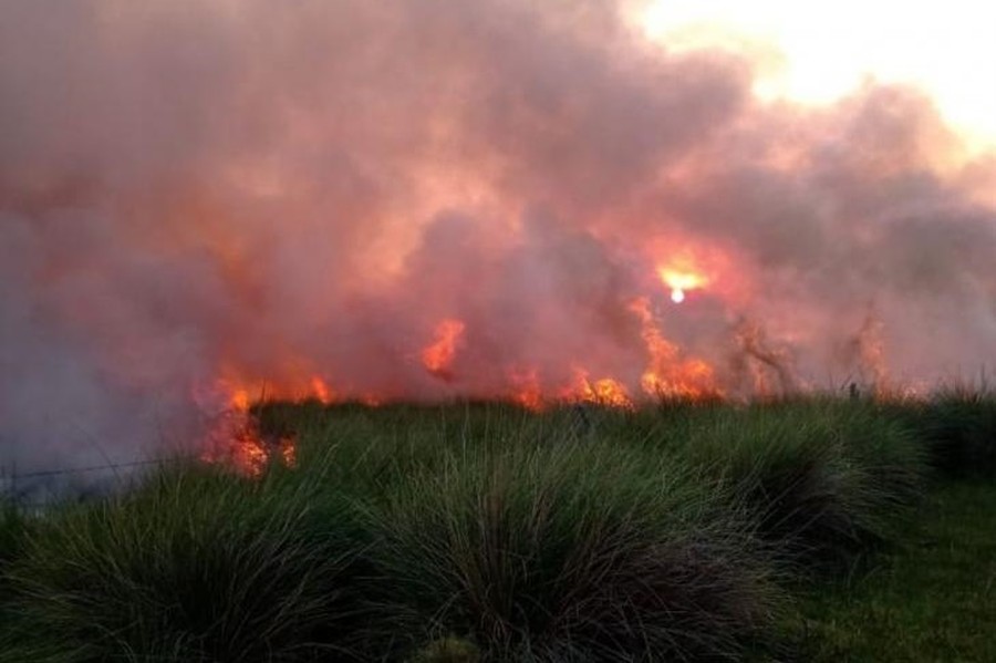 Más de 15 hectáreas de maíz fueron destruidas por el fuego en Cayastacito