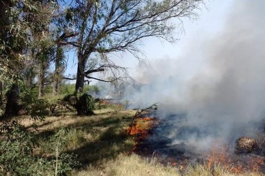 Laguna Paiva: trabajan para controlar un incendio en un boque de 70 hectáreas 