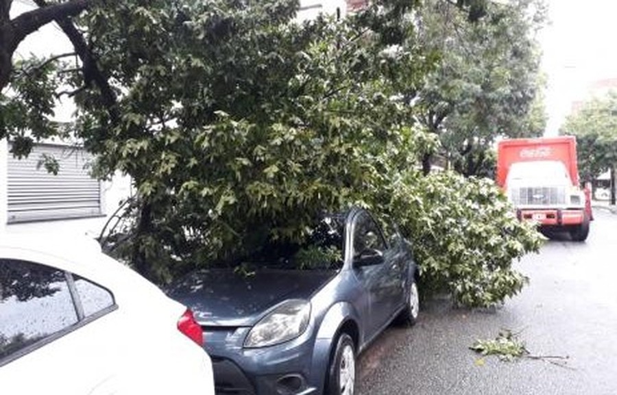 En la ciudad cayeron en promedio 41 milímetros de lluvia y hubo reclamos por problemas en el arbolado público