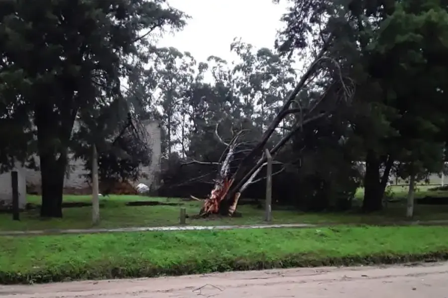 El temporal dejó 75 milímetros de lluvia, cortes de energía y daños en Reconquista y el norte santafesino