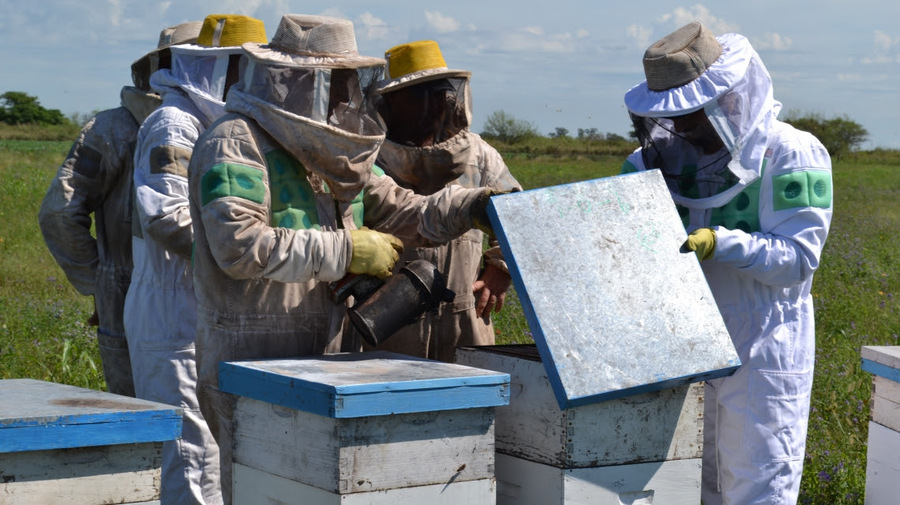 La Provincia fomenta herramientas financieras para fortalecer la producción apícola santafesina