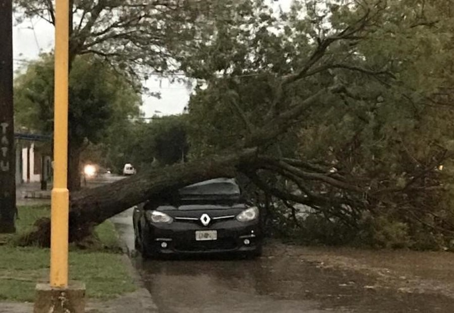 La ciudad de Vera aún está sin luz tras el fuerte temporal de viento y lluvia