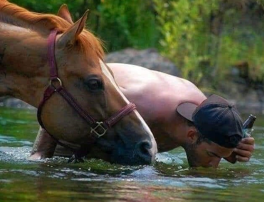 En el camino bebe agua donde toma tu caballo...