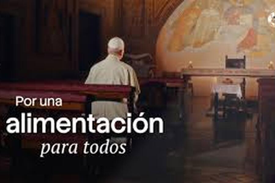 León XIV pidió rezar para que nadie quede privado del alimento