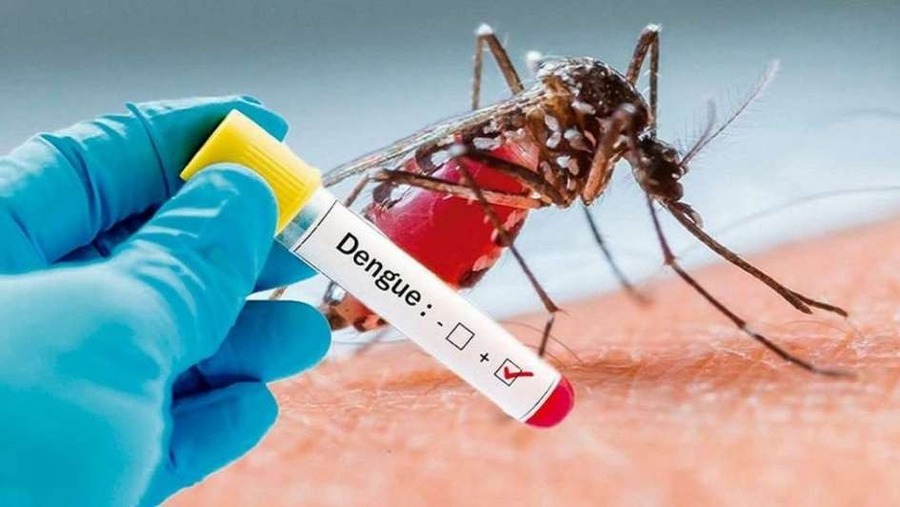 Confirman el primer caso de dengue en la ciudad de Rafaela