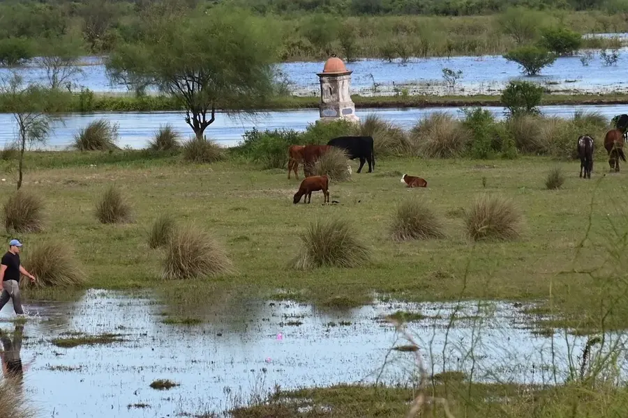 El río Salado alcanzó su pico en Recreo y comienza a descender, con monitoreo permanente
