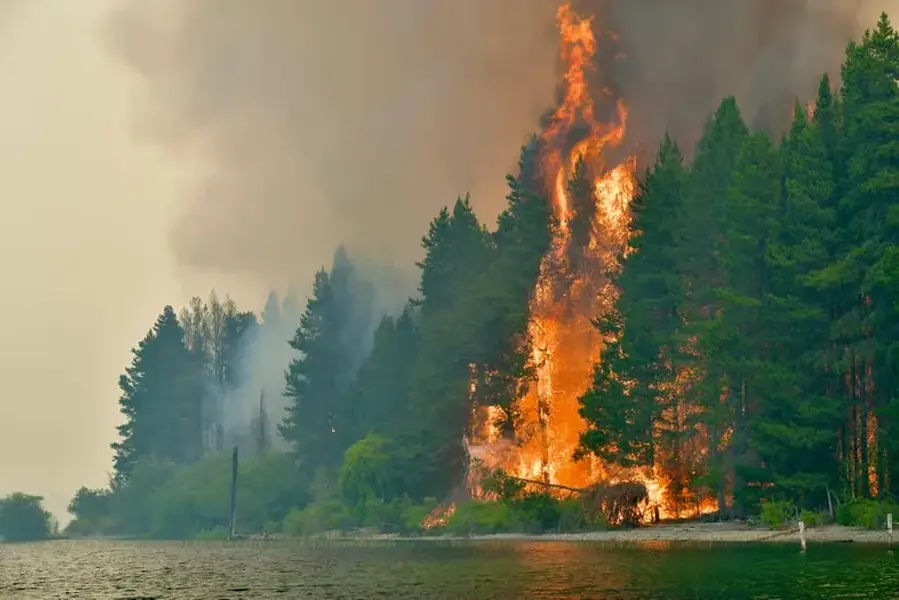 Incendios activos afectan amplias zonas de la Patagonia argentina