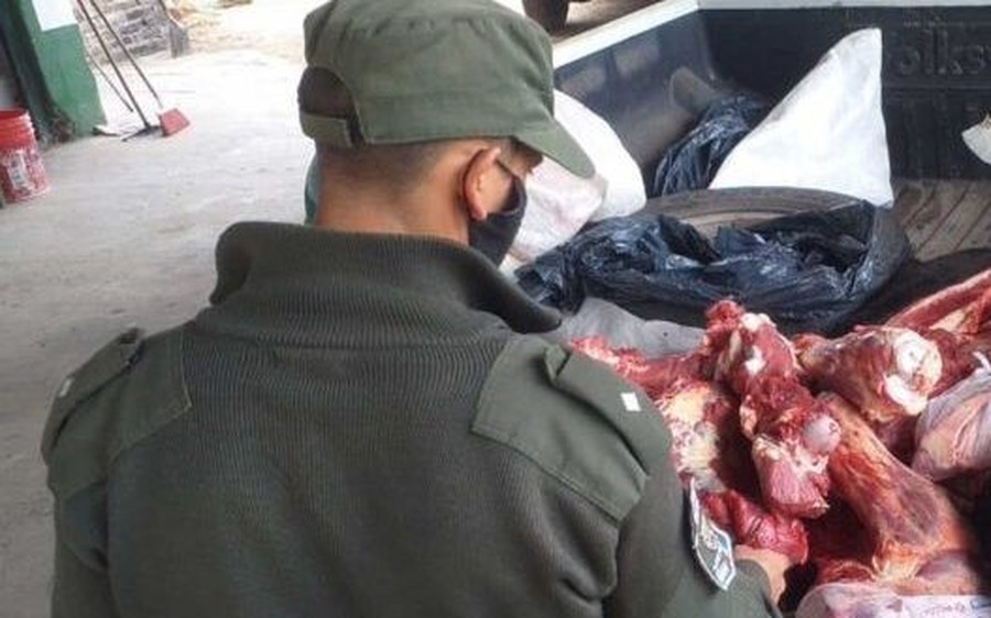 Villa Minetti: Secuestran 200 kilos de carne vacuna de faenamiento clandestino