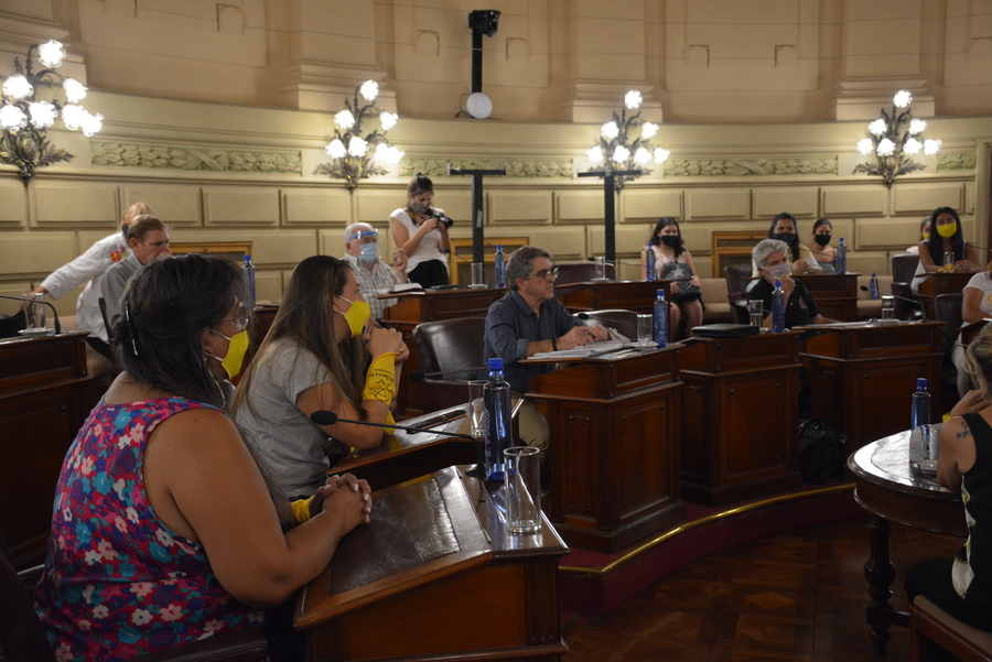 Senadores del Bloque Juan Domingo Perón recibieron a mujeres pacientes de endometriosis