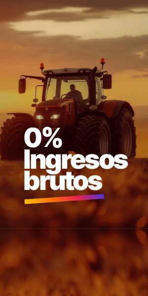 INGRESOS BRUTOS